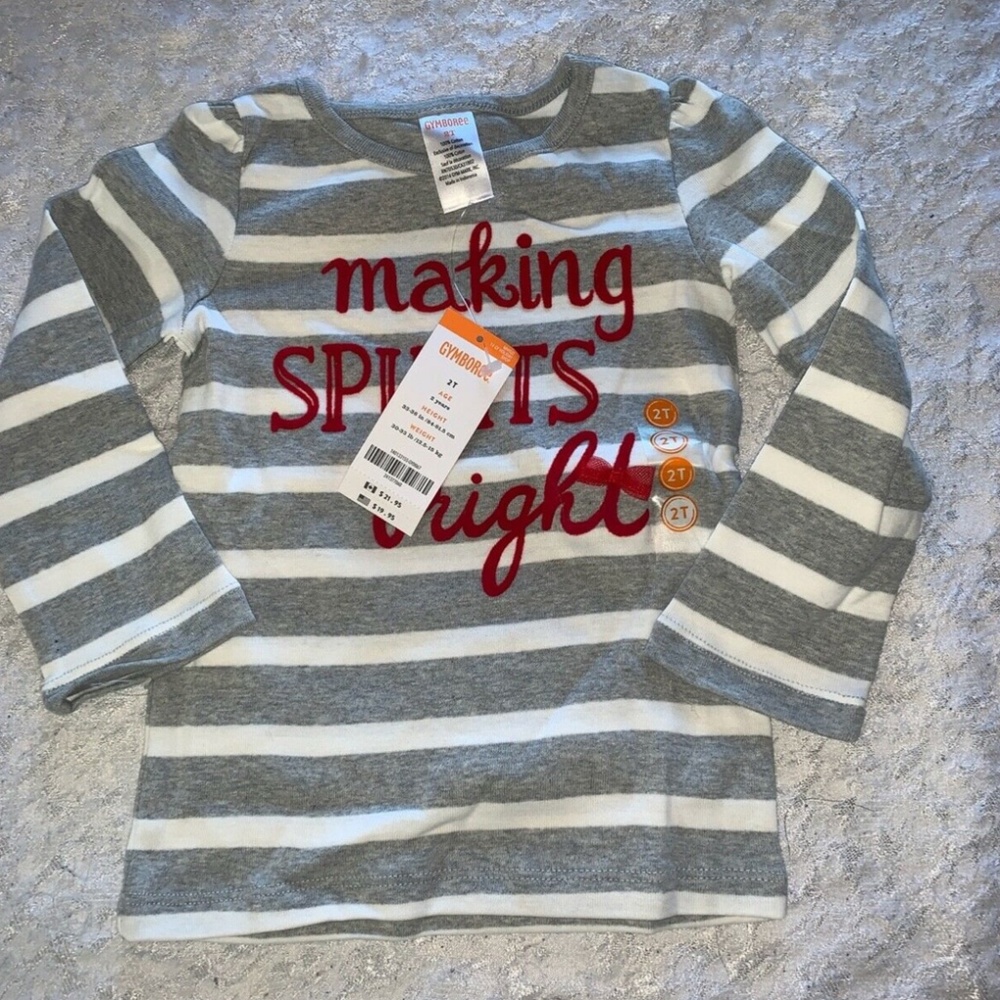 Toddler girls Gymboree stripped long sleeve T-shirt size 2T gray white NEW